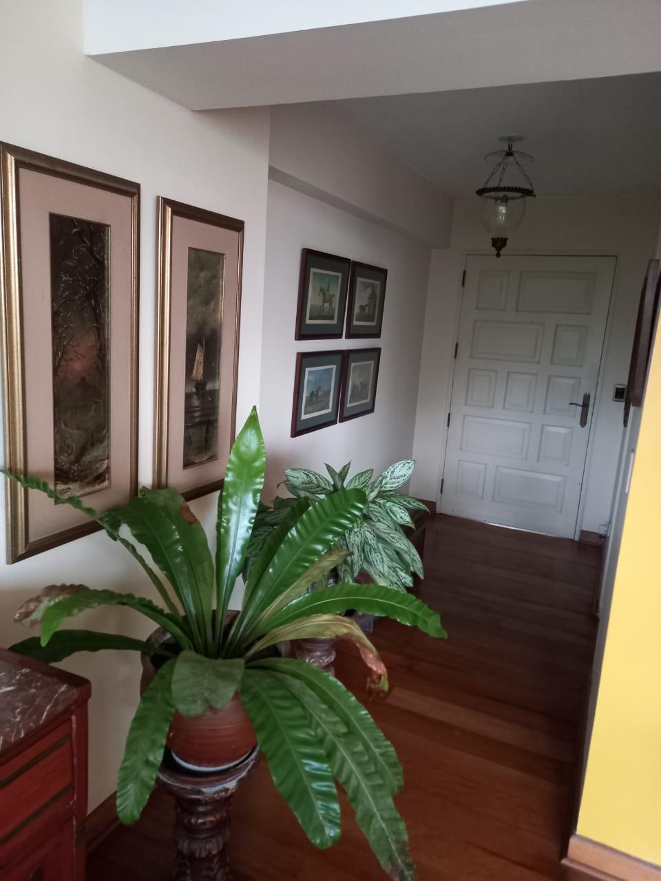 Imagen miniatura b432a2a5-da5e-4690-b1da-4748cad197d5