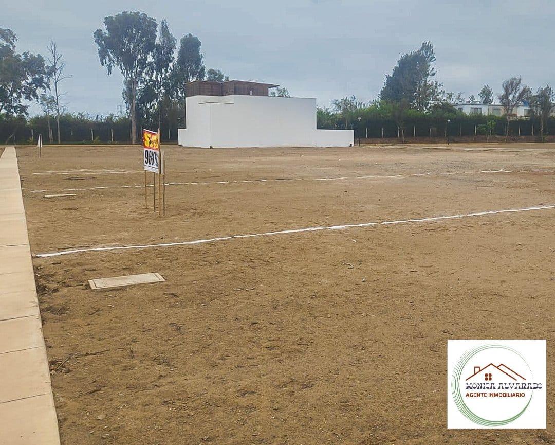 Imagen miniatura b6df356b-052e-44f1-9f5b-c6515bc657f7