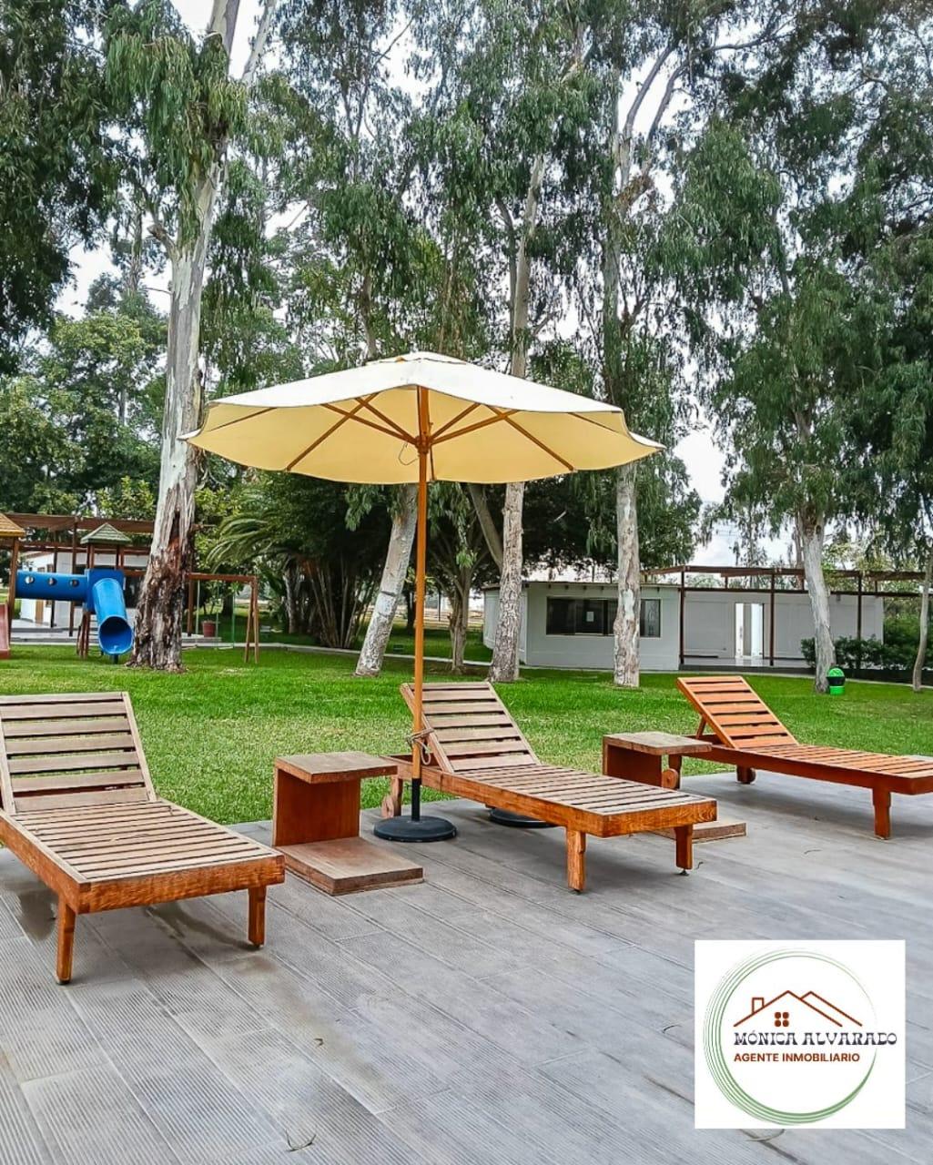 Imagen miniatura 2df01d41-4311-409a-ae04-eb57be2b561e