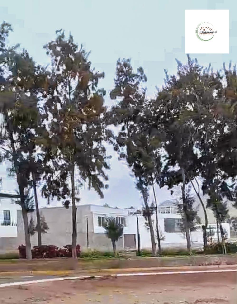 Imagen miniatura f42e860b-a83f-4d47-9d7b-b04495304125