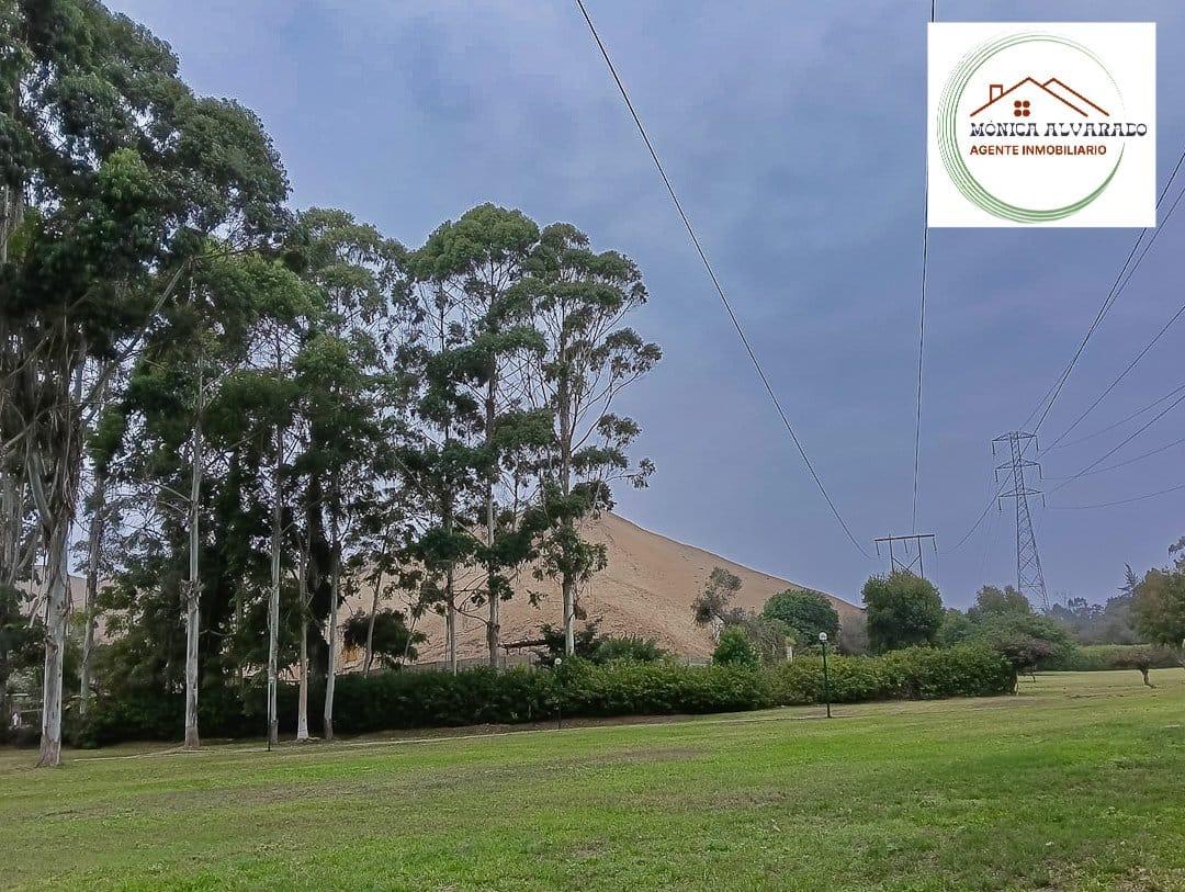 Imagen miniatura f1b915d4-af93-4306-af2a-84ade8c525a5