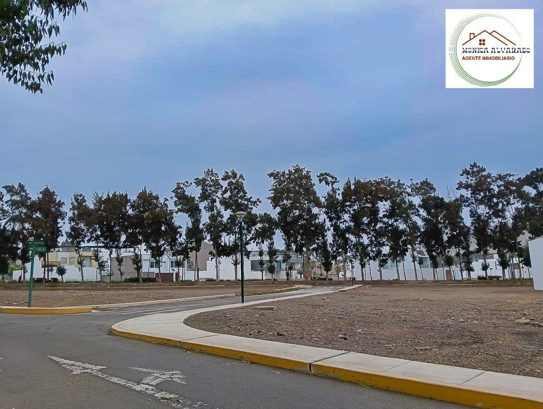 Imagen miniatura ead19437-e5ab-4ce7-b6d7-b7a786635087