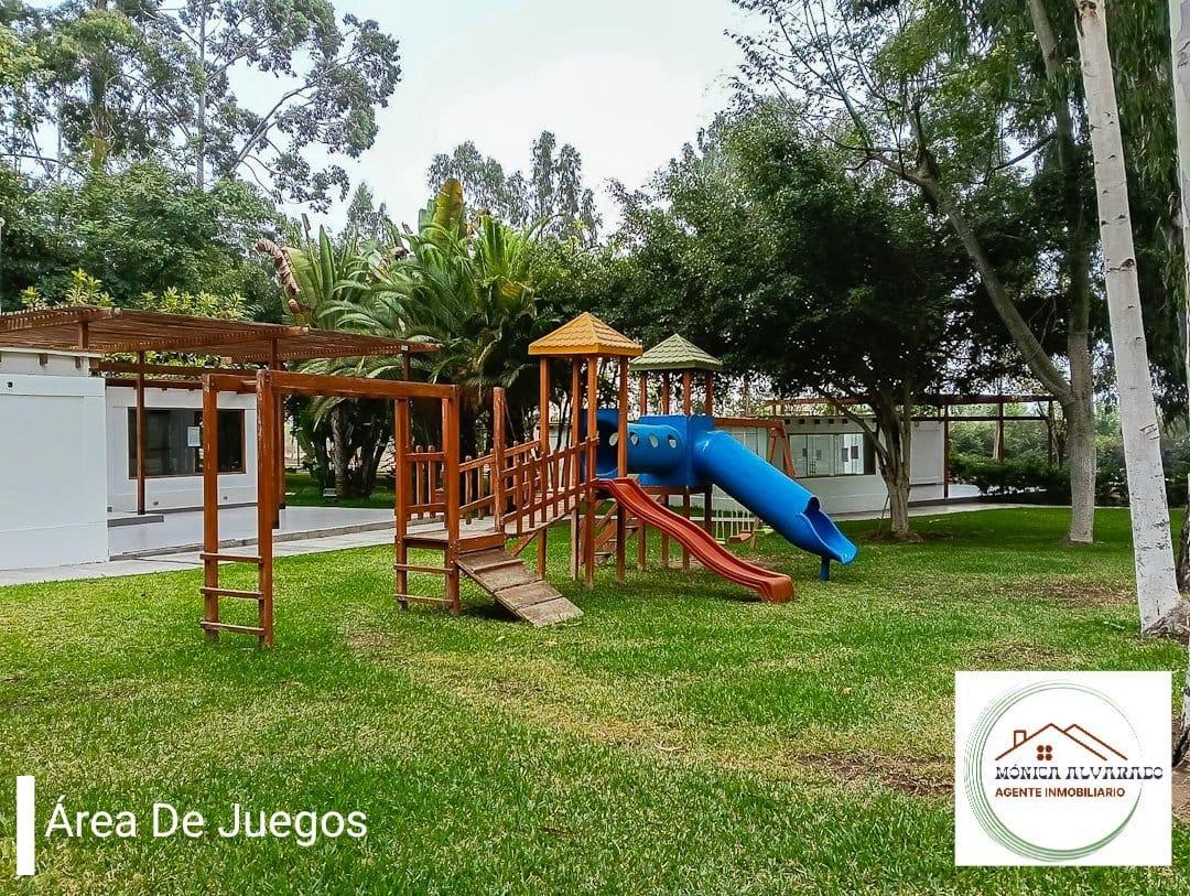 Imagen miniatura 92157ab8-b32f-4799-a085-157a0cbe9971