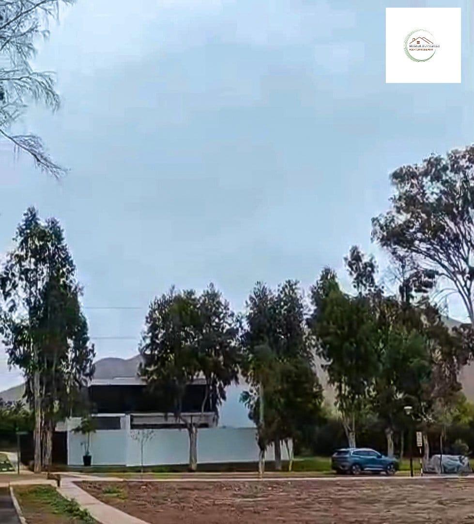 Imagen miniatura 87dc5c41-04b5-449d-8926-8fb17b32980d