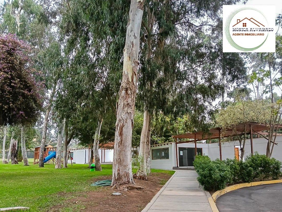 Imagen miniatura e7b37fd6-5ff5-45ad-8957-c7e78c321d22