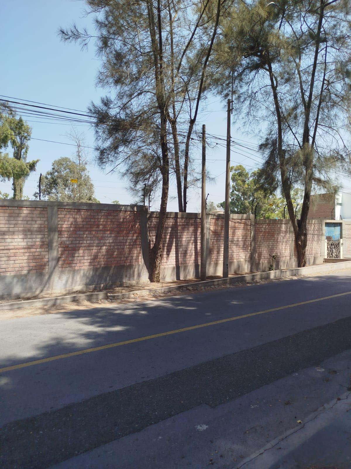 Imagen miniatura 2a01913e-9fa3-4937-a4a1-ab21fc6da5ec