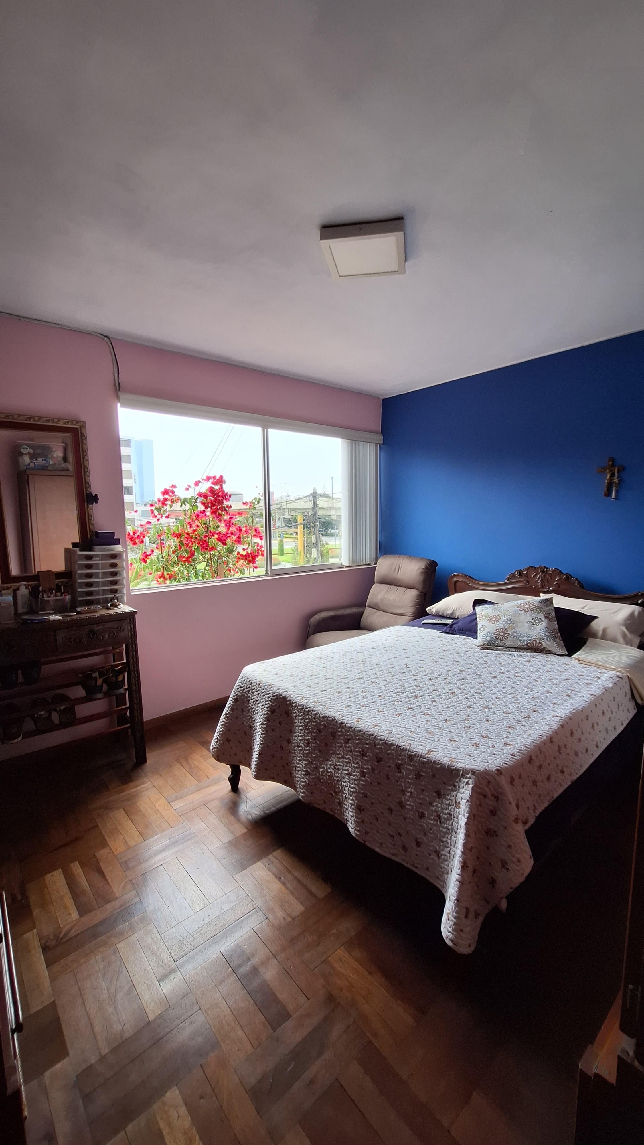 Imagen miniatura 95d7c26a-f262-4f70-ab11-a6493aab11f8