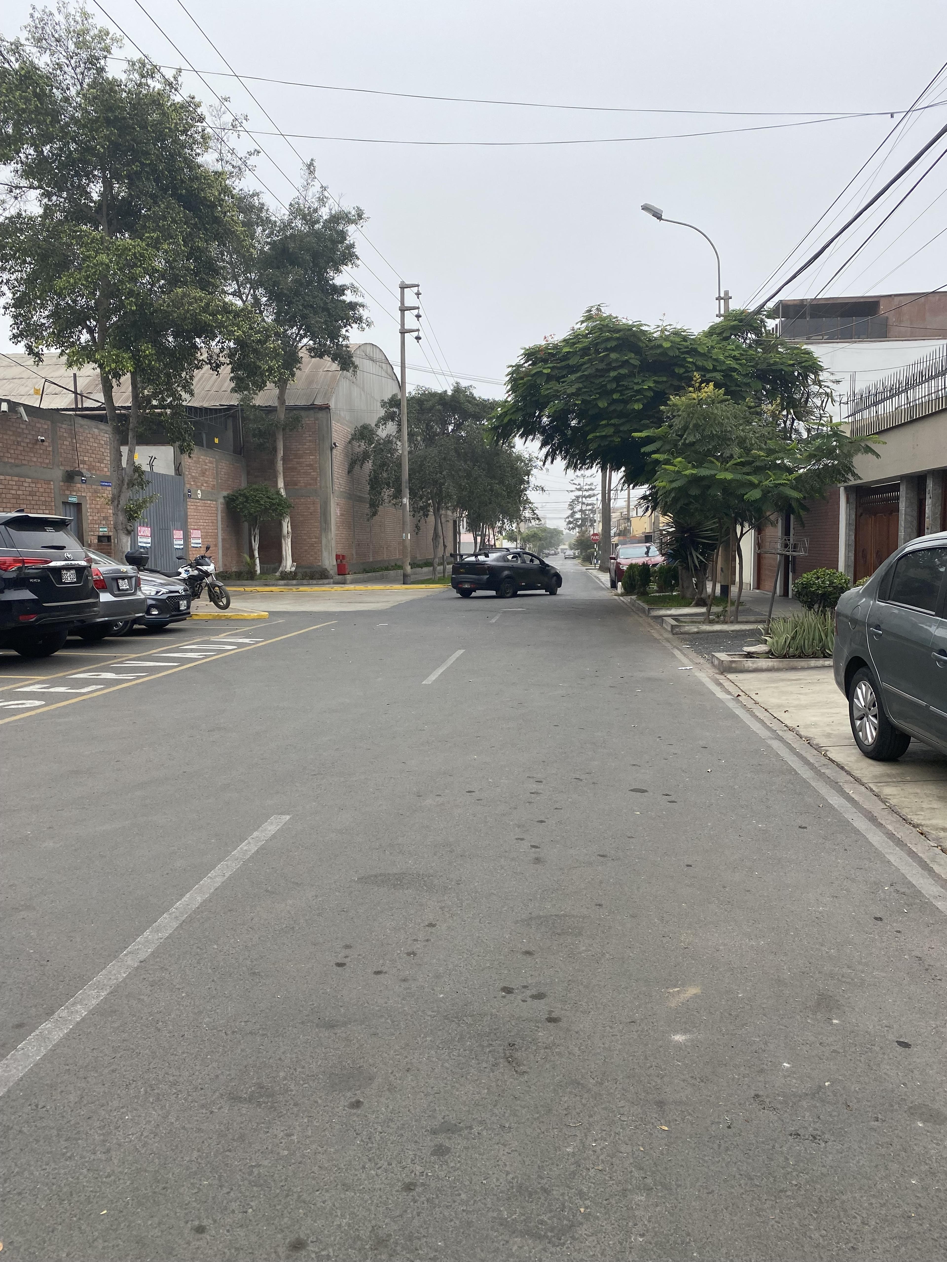 Imagen miniatura 9bf76e3e-ac4f-4f6f-8dbc-4206e802841b