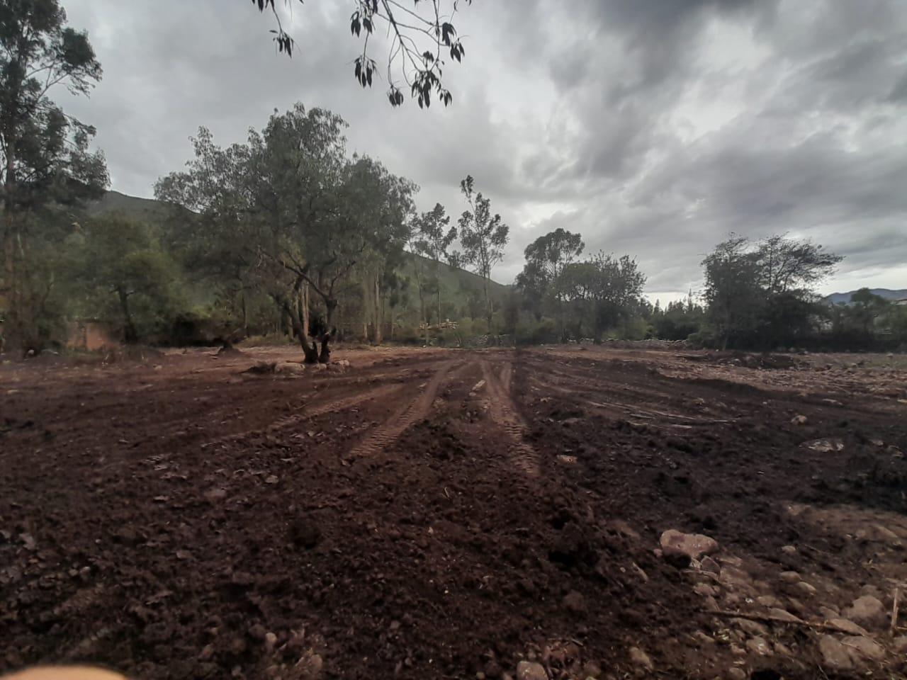 Imagen miniatura c24ecd35-526c-46b4-a879-94dde1345045