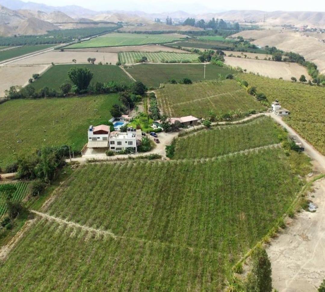 Imagen miniatura 8f7d6241-bc51-4805-b477-05bcd0d11ed8