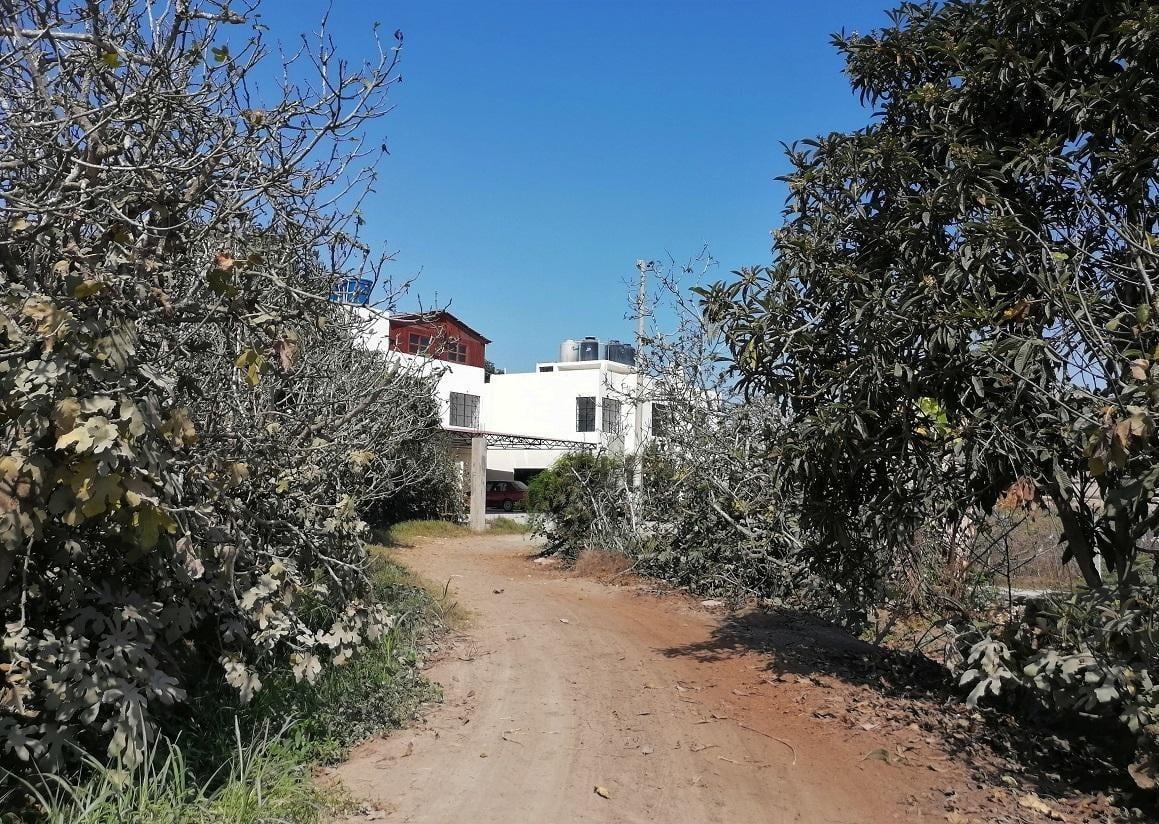 Imagen miniatura d10a0309-a5be-4474-8ba0-a80adcdcec1c