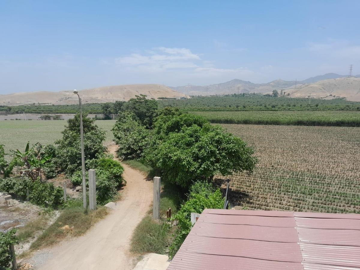 Imagen miniatura bdc889a7-76d8-4baf-aae2-21c9481ef9be