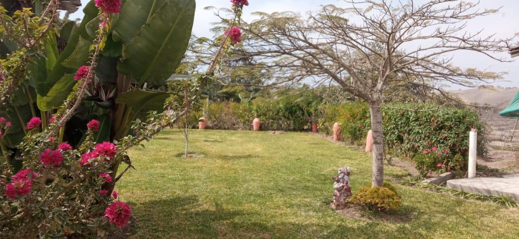 Imagen miniatura e978105f-0415-47a6-b03e-0feb8574222f