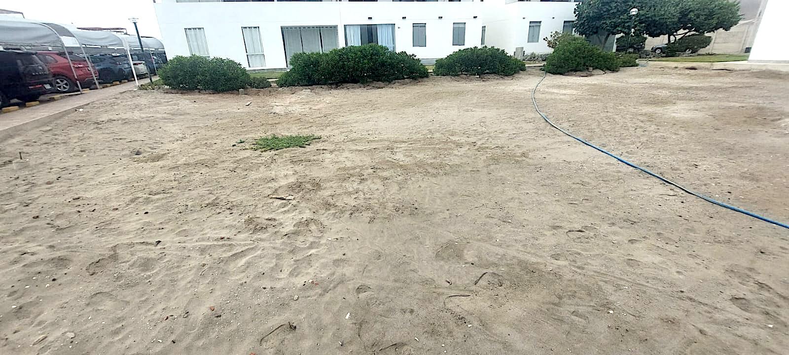 Imagen miniatura 0a7276d6-53c9-4cd3-b3e3-7bde5c69c4fa