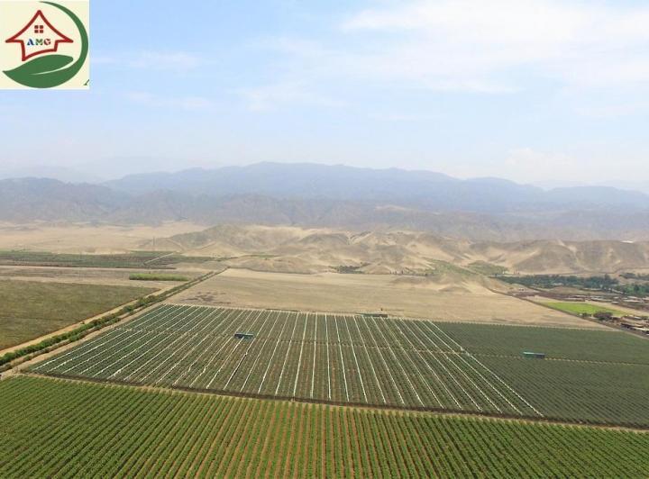 Imagen miniatura 7a596611-fa75-46a2-86c8-ade5cd82e207