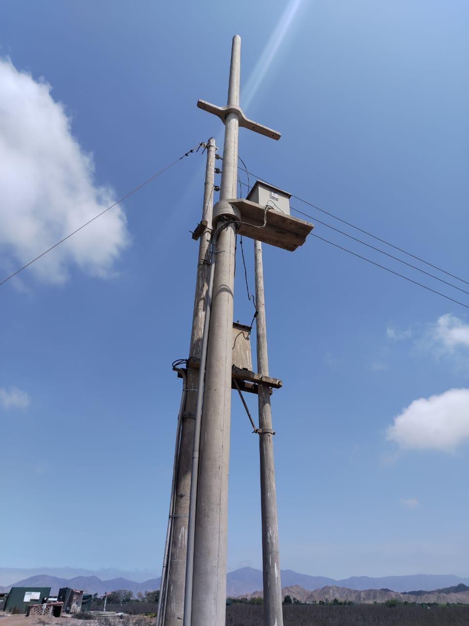 Imagen miniatura 31e36f7c-9a0f-4032-9178-ed5e8a2b3f50