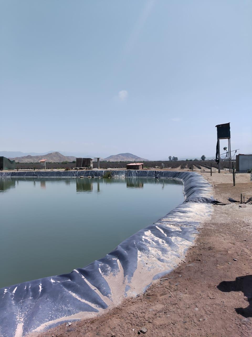 Imagen miniatura cfb514d8-35c5-4709-87b0-c67d5c3bf573