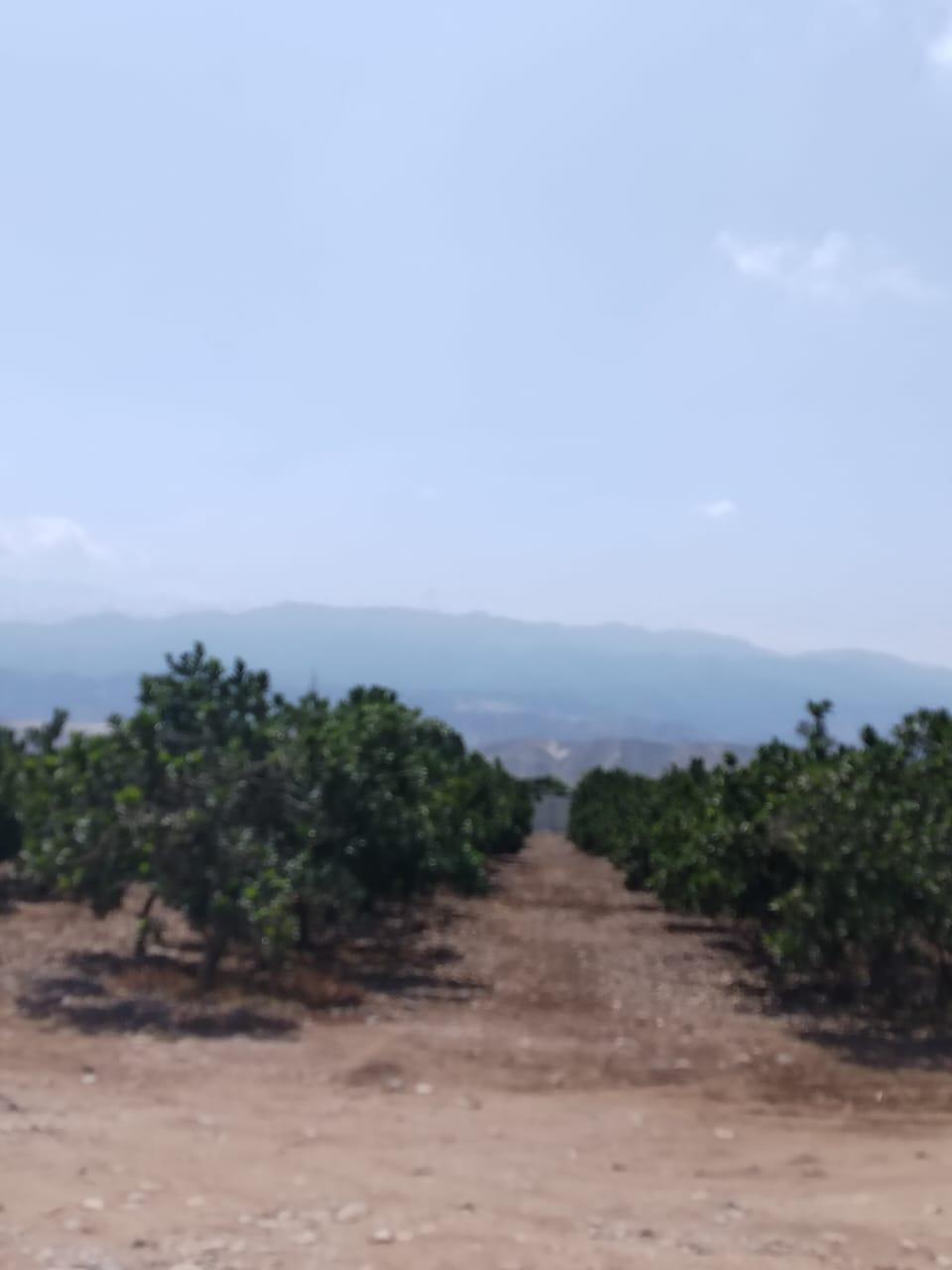 Imagen miniatura 443304ca-4a9a-4da6-a73d-c5fdbcff3d1e