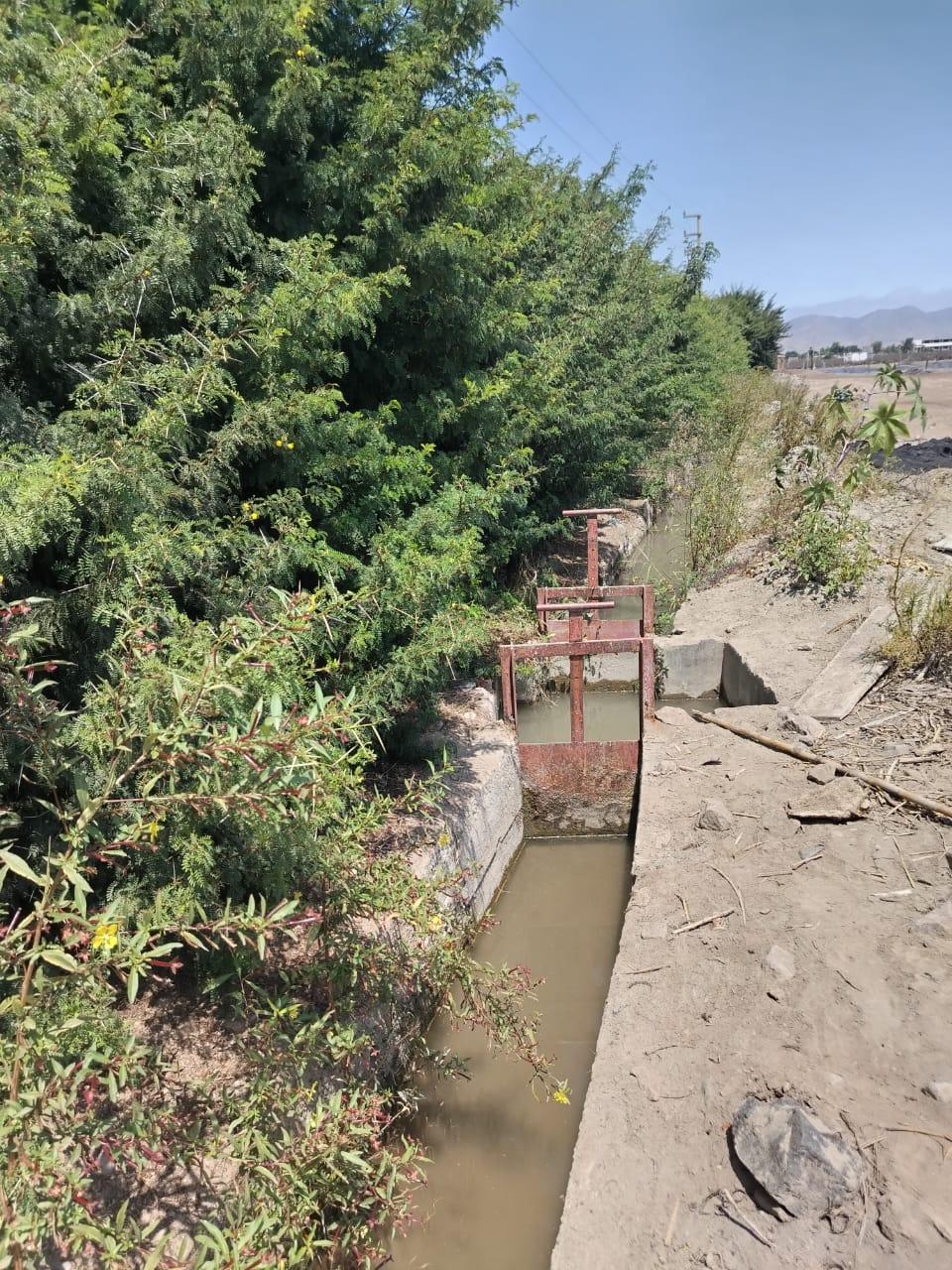 Imagen miniatura 500107d4-ba3a-4939-9f9d-317f9b5abdf6