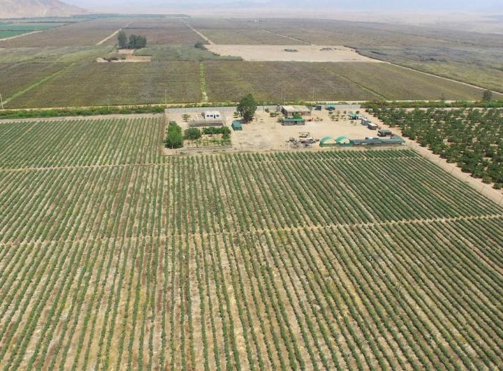 Imagen miniatura 74b0ad7b-5152-453f-8261-cb09a4bf5854