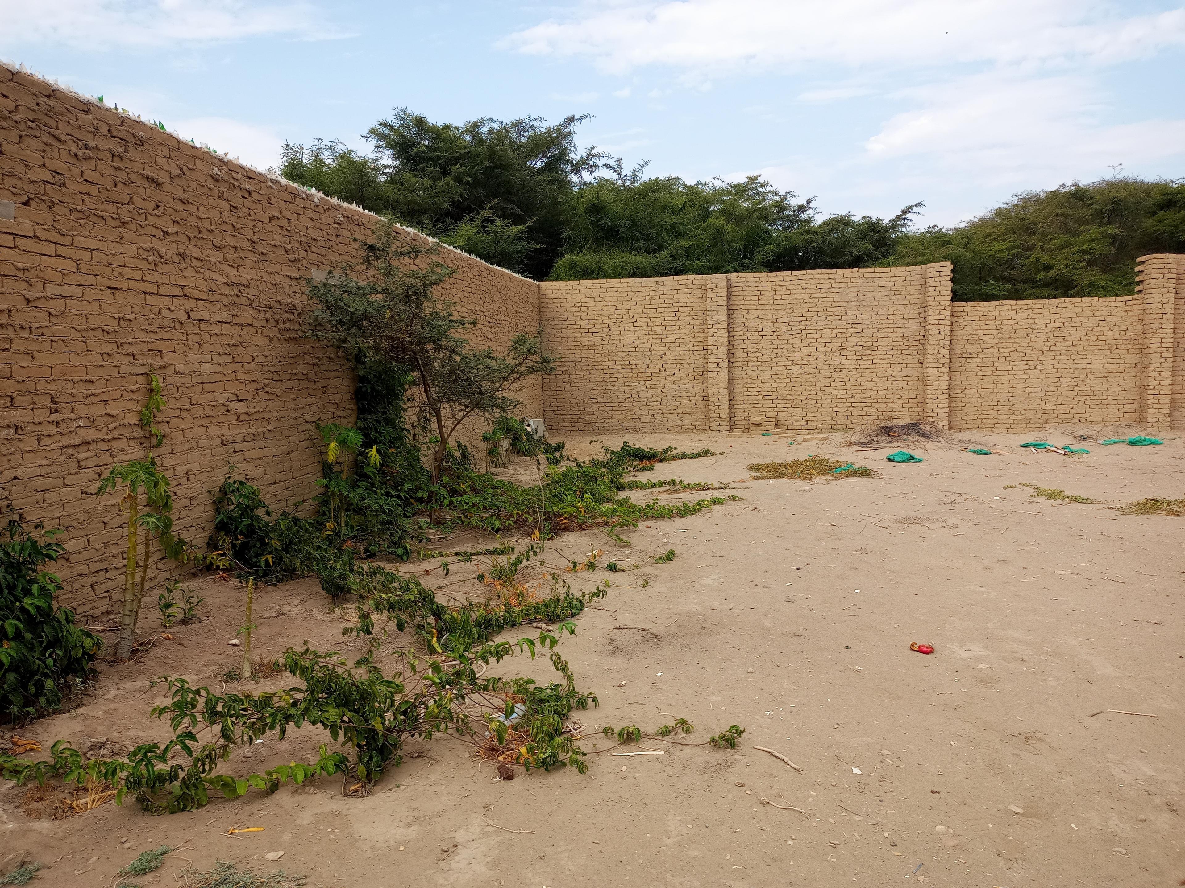 Imagen miniatura ab47fa4a-4f90-4c3d-afc7-6aef17a8312f