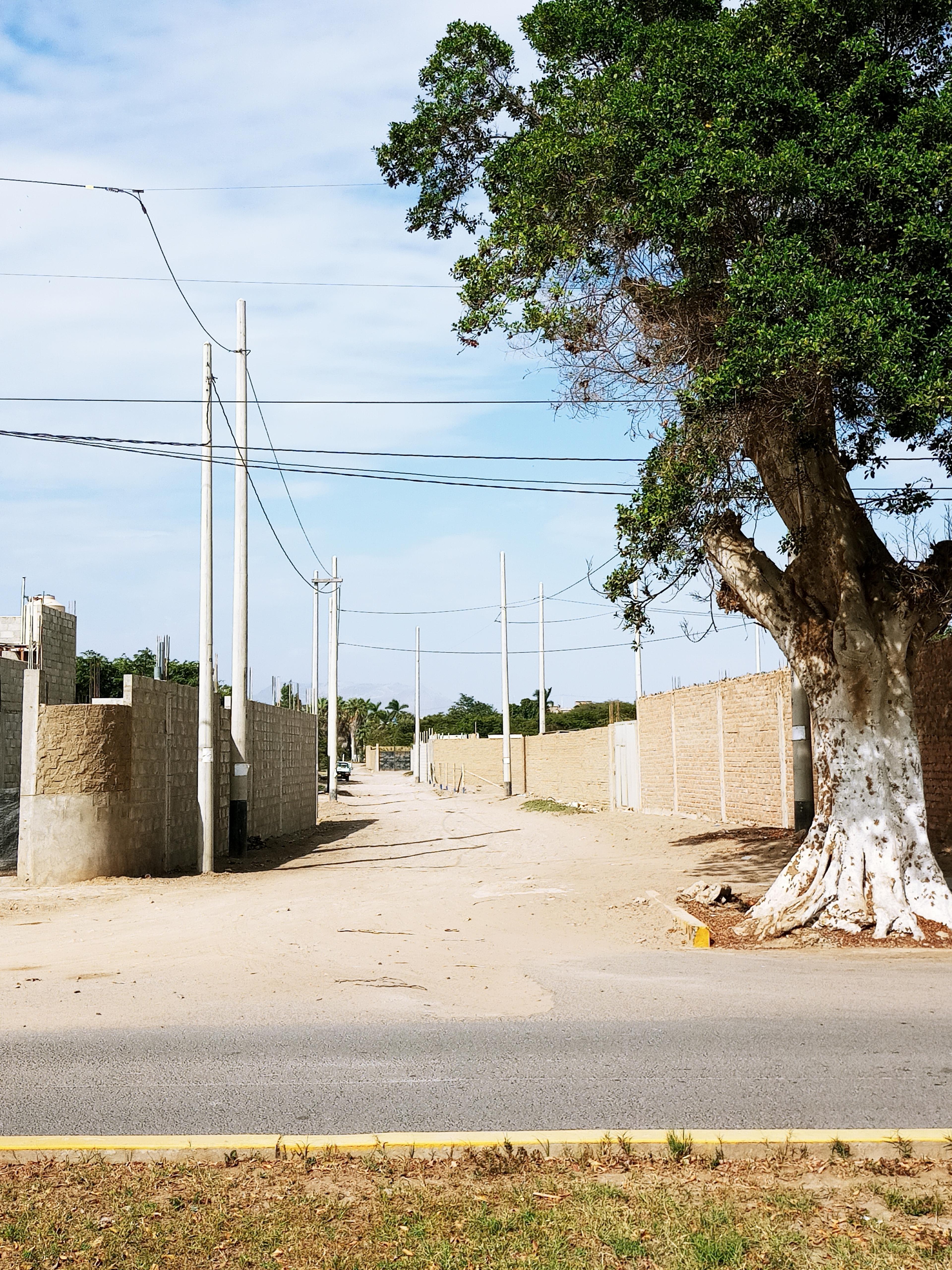 Imagen miniatura 818a04ae-6a59-429c-af32-17b262f2c381