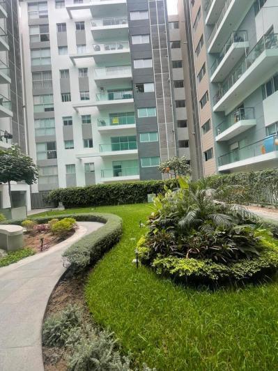 Imagen miniatura 20d6aeba-2483-4fe9-b972-6b4565ae7668