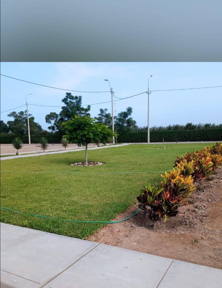 Imagen miniatura 87df2ab6-c5d1-48ea-9047-ed7c06ea79a4