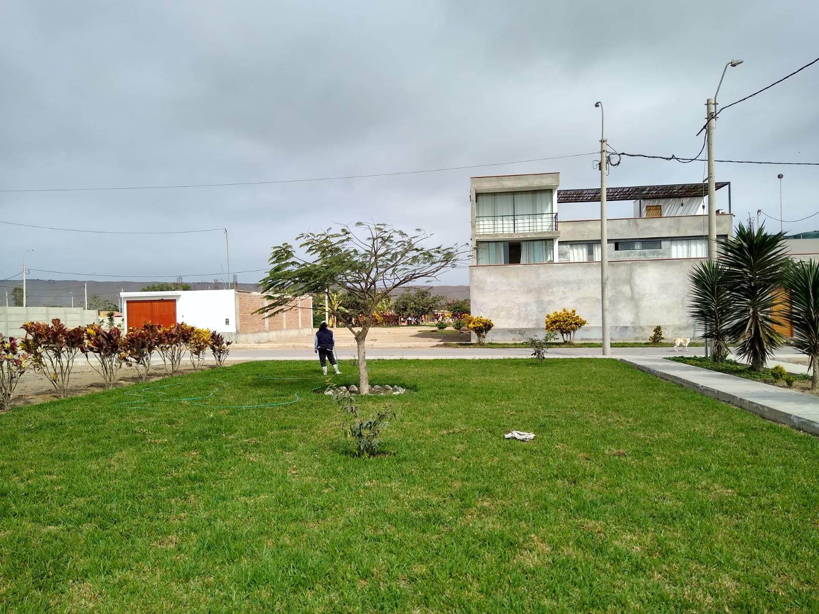 Imagen miniatura 71eaafb3-c682-4bd4-8435-3f253ce610a3