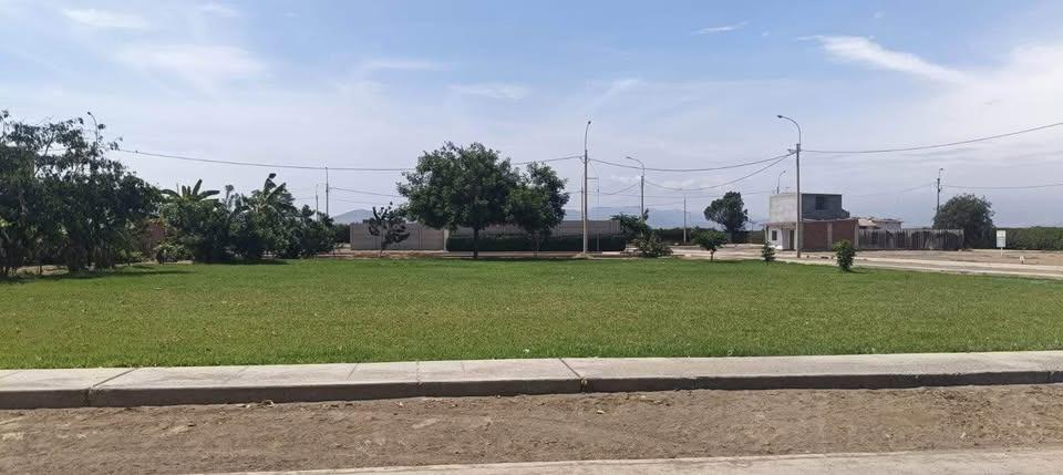 Imagen miniatura 40492108-ab6a-4ca9-b665-9628c967845b