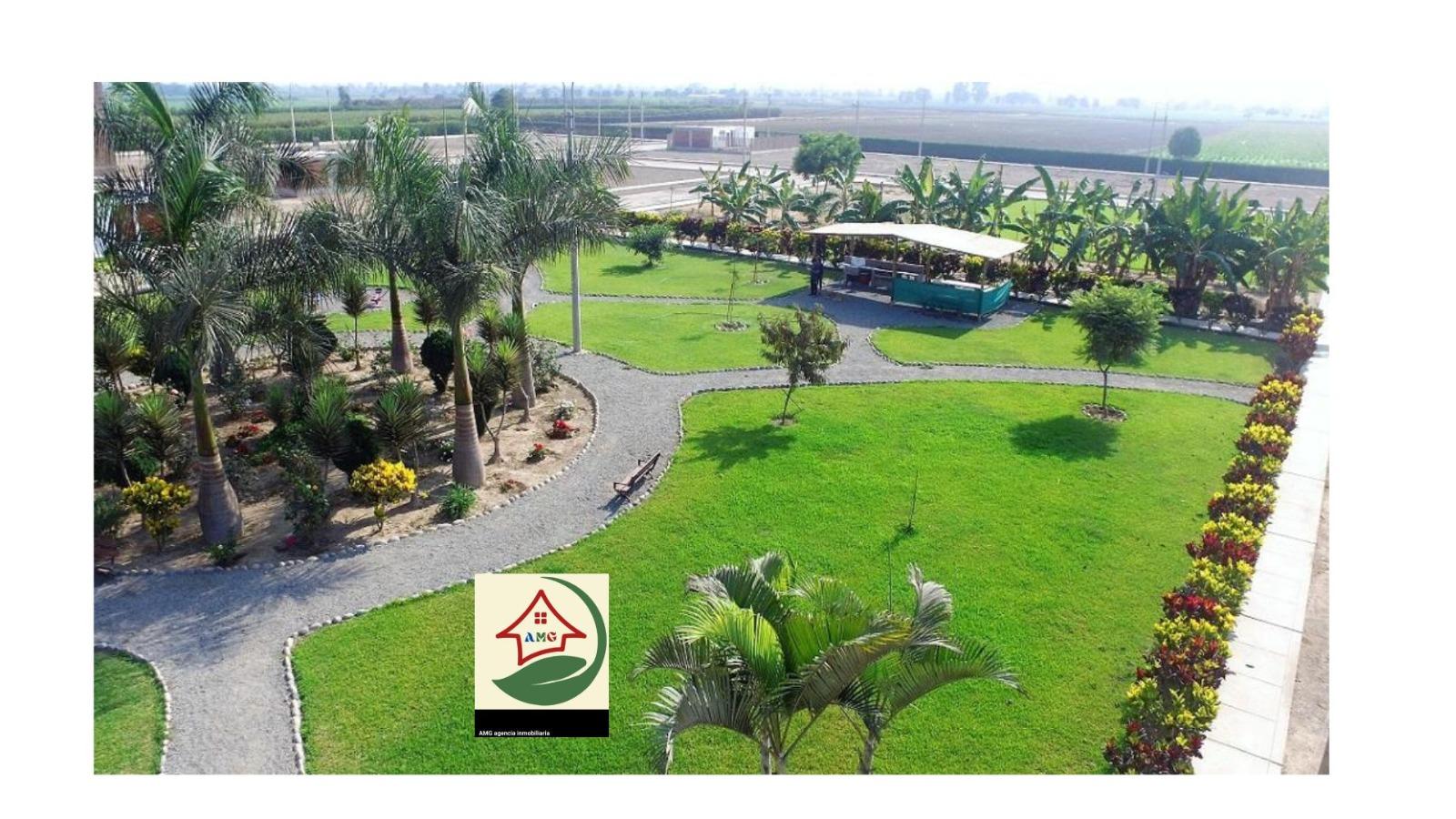 Imagen miniatura 2e2241ca-b542-4a3c-8db2-a78250ce4e04