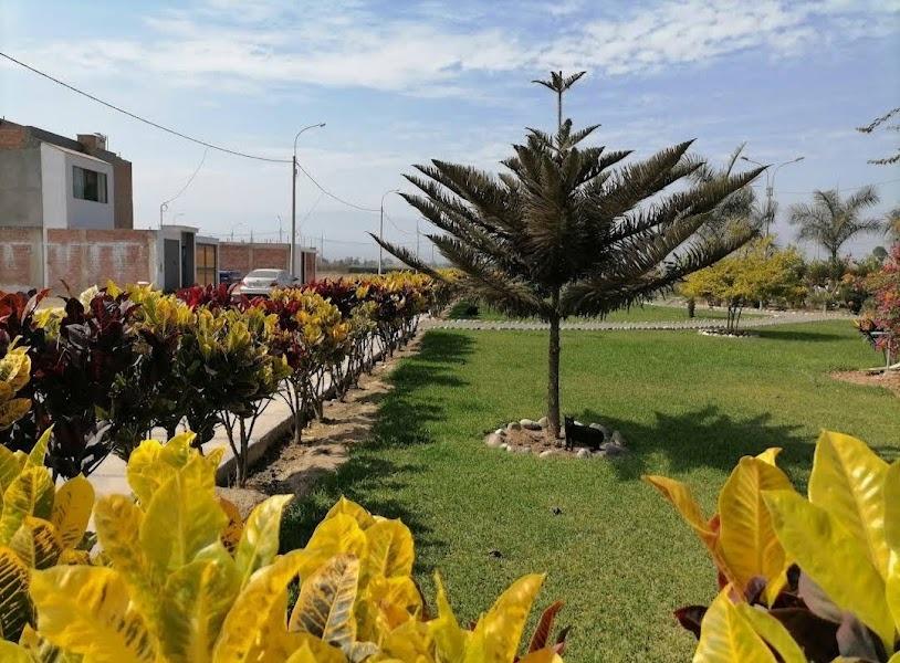 Imagen miniatura fe643f59-ed99-4e90-8c49-6b719e2881bd