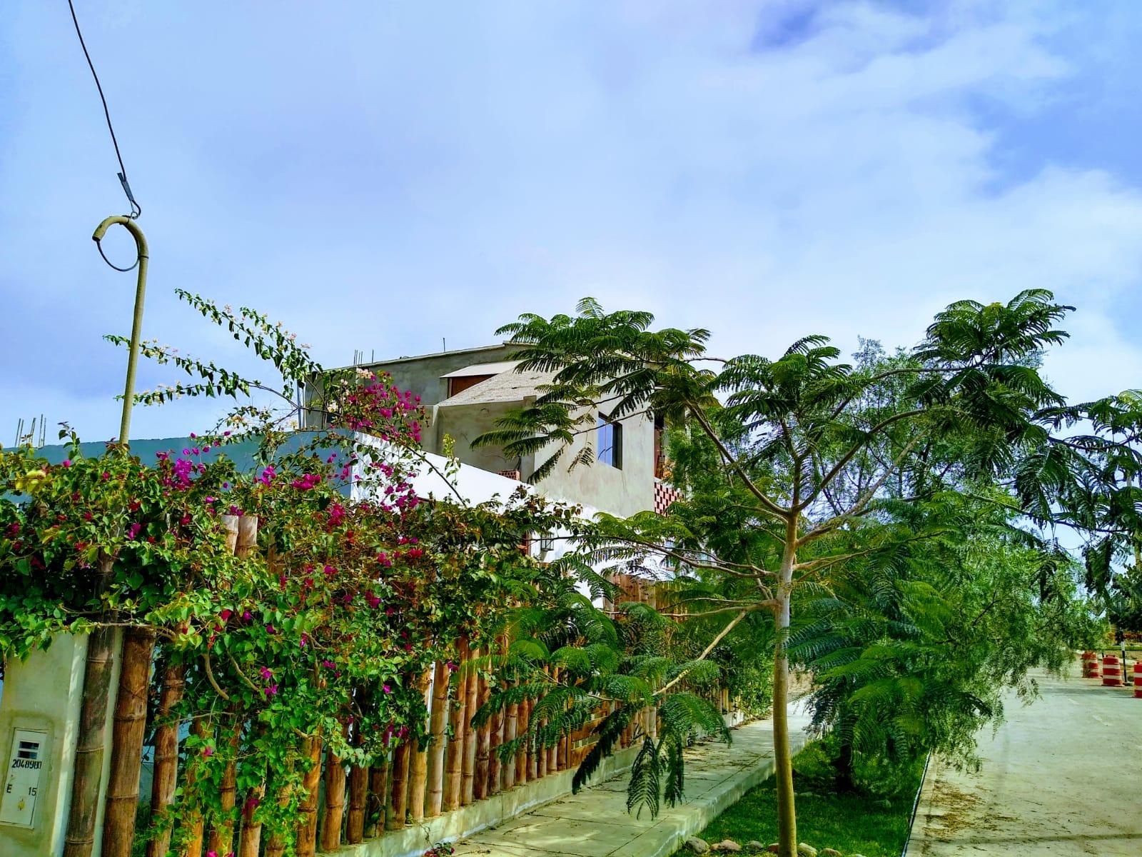 Imagen miniatura 63b4acfd-edd4-482f-9537-74b61c72e61c