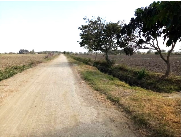 a015e962-8d8a-473d-b1b7-4edb80455ff0