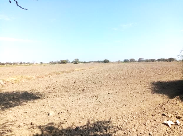 Imagen miniatura f4aacf88-3a03-456a-b99a-0cbfc19f1415