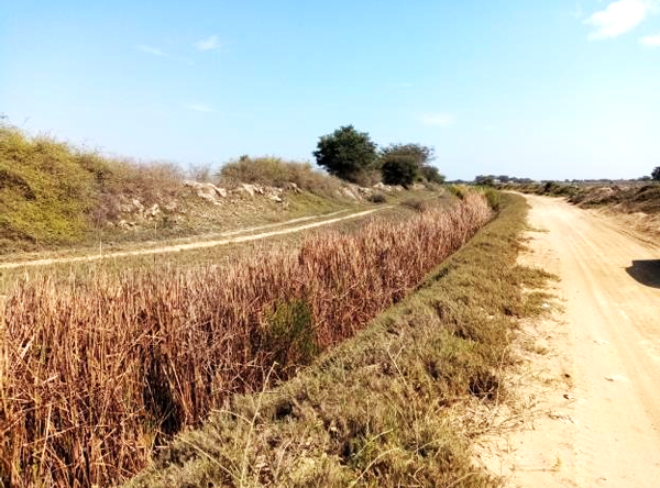 Imagen miniatura 5606cf47-e0f1-4d73-9209-c6804bcc2279