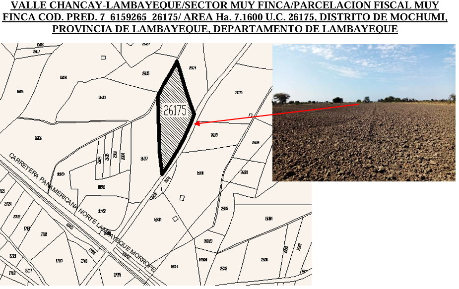 Imagen miniatura ee0b7ae6-68a0-47c6-923e-04ac3007282d