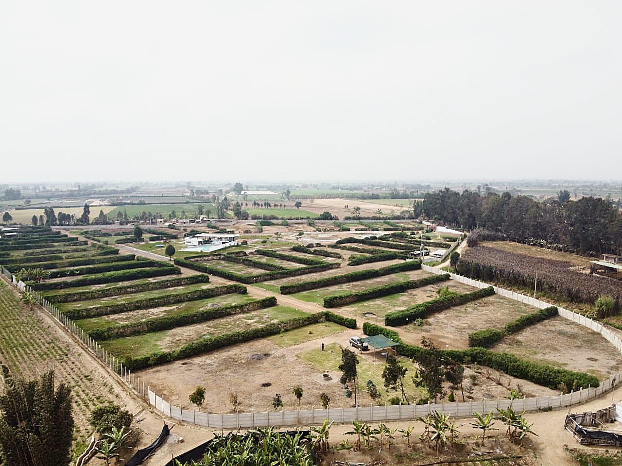 Imagen miniatura 62a648cb-603a-437f-8a8a-1b17f2a5d485