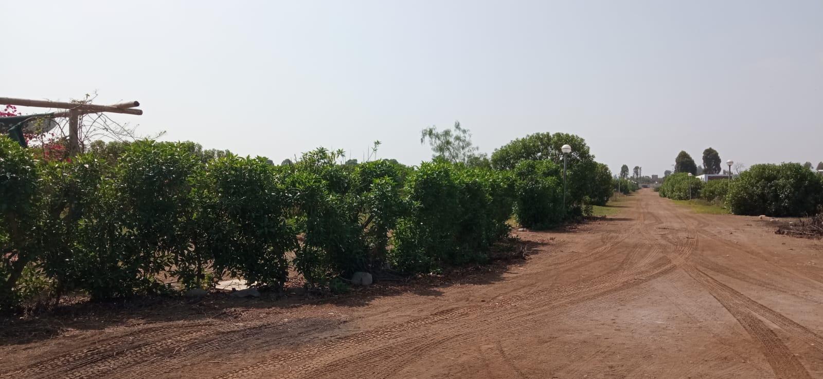 Imagen miniatura 2109cb2e-f72a-41b2-8336-45c7e3814fa8