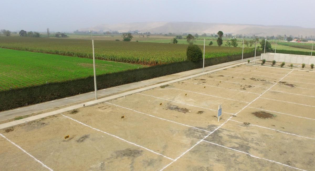 bba4737c-38b1-4525-9d42-1fab36086fe4