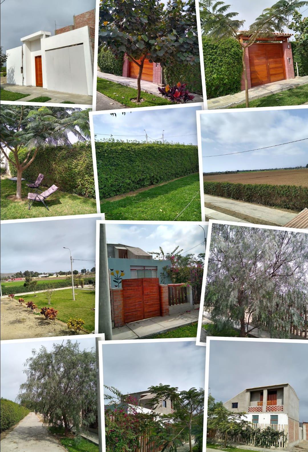 Imagen miniatura 0561a0b4-83ba-470e-9824-f1cb16578510