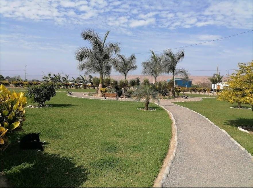 Imagen miniatura 728d488c-78b8-482c-a9bc-d5ced65e9f25