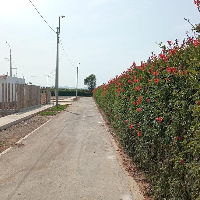 Imagen miniatura 9bdbc9a4-6e14-42d7-ac0a-73bfd79d525e