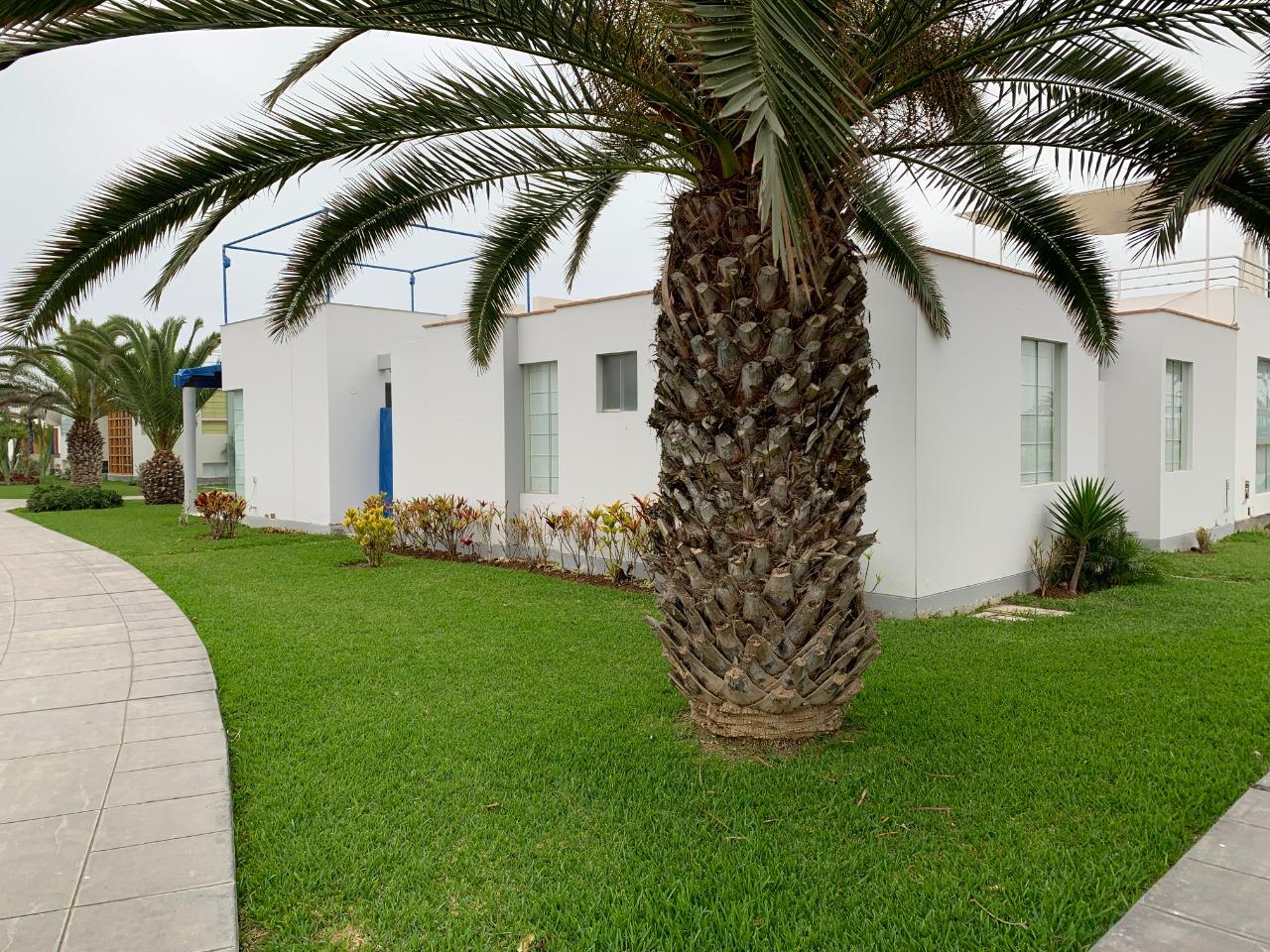 Imagen miniatura 115e1ee7-bb15-4f95-9593-7a88283288d6