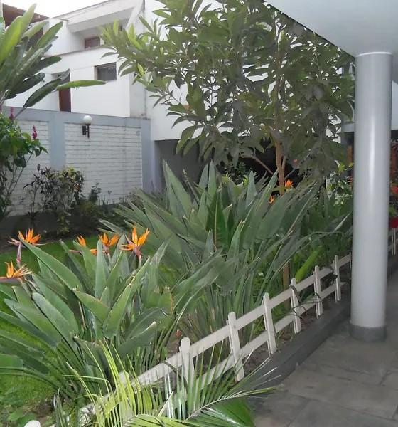 Imagen miniatura fc744cf1-7965-4145-bf14-b624f6d30de3