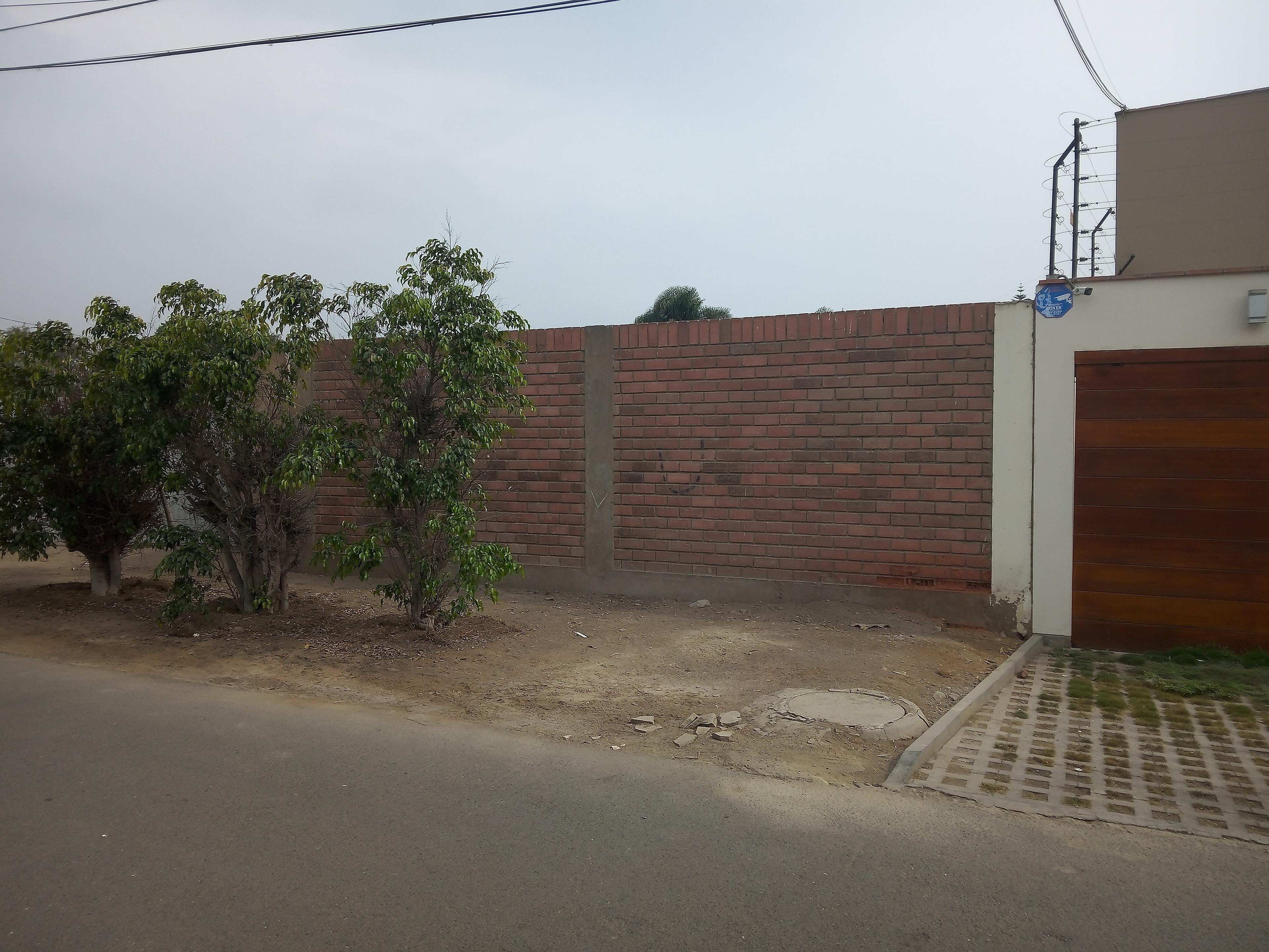 Imagen miniatura 525df3b8-48a5-4ccc-aad5-ae574da6139b