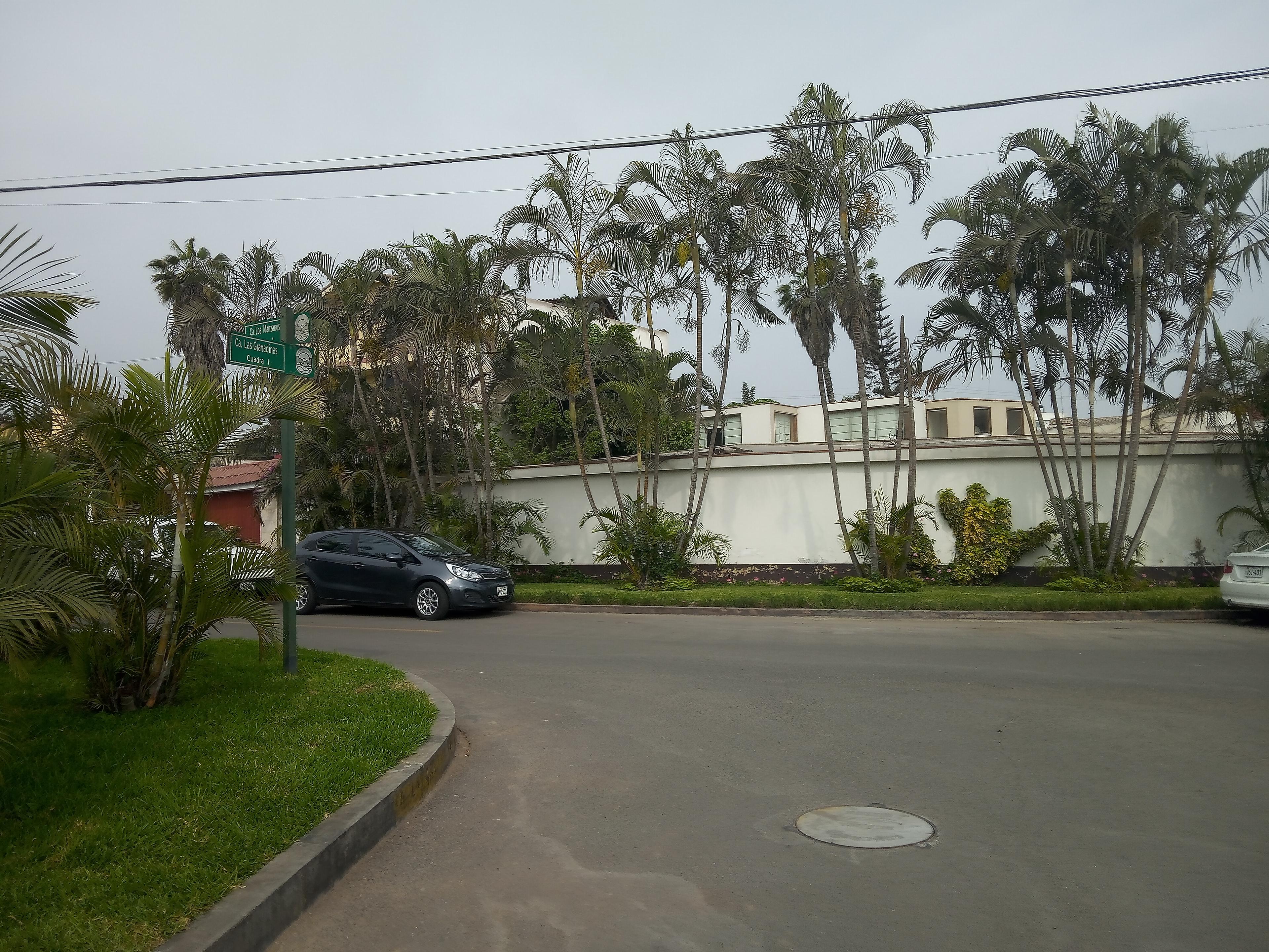 Imagen miniatura a483407c-5c75-4b36-a4b4-41bc38eaf941