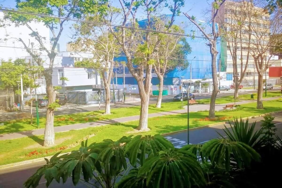 Imagen miniatura bdd6ac05-ec3a-41cb-925e-e6a066e1cf85