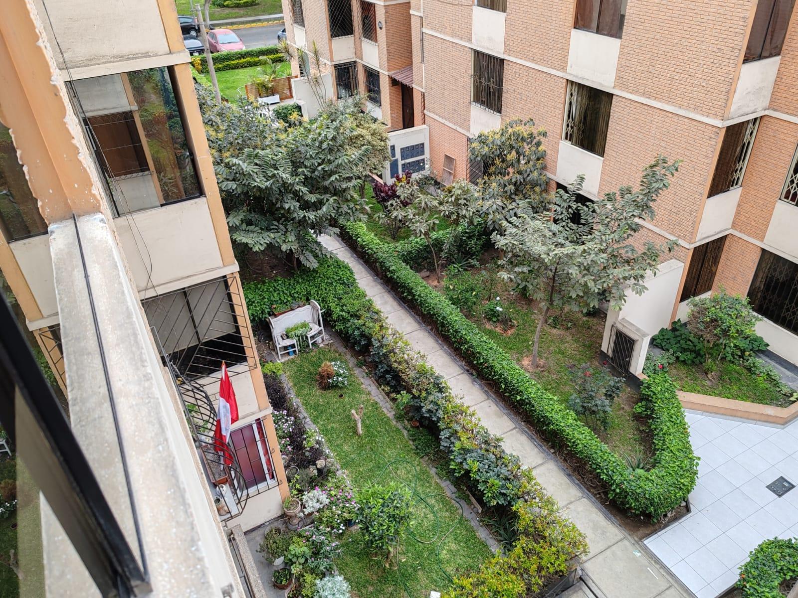 Imagen miniatura 7f350dc5-c2bb-417f-8297-f9bd3f4d0518