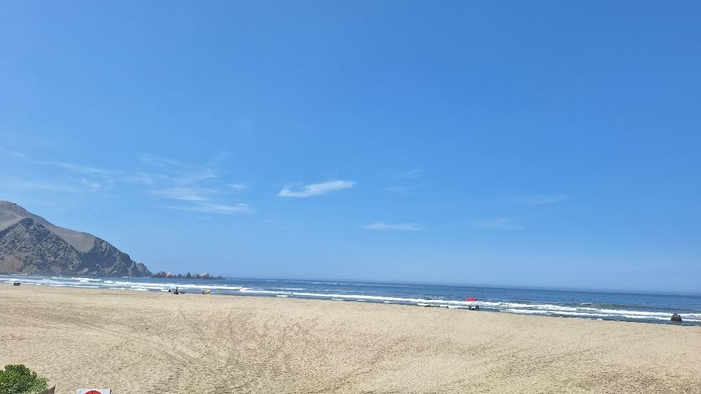 Imagen miniatura 53eecda7-f8f6-4e81-879f-602196ef1ac7